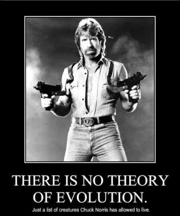 chuck-norris-facts-group-funny